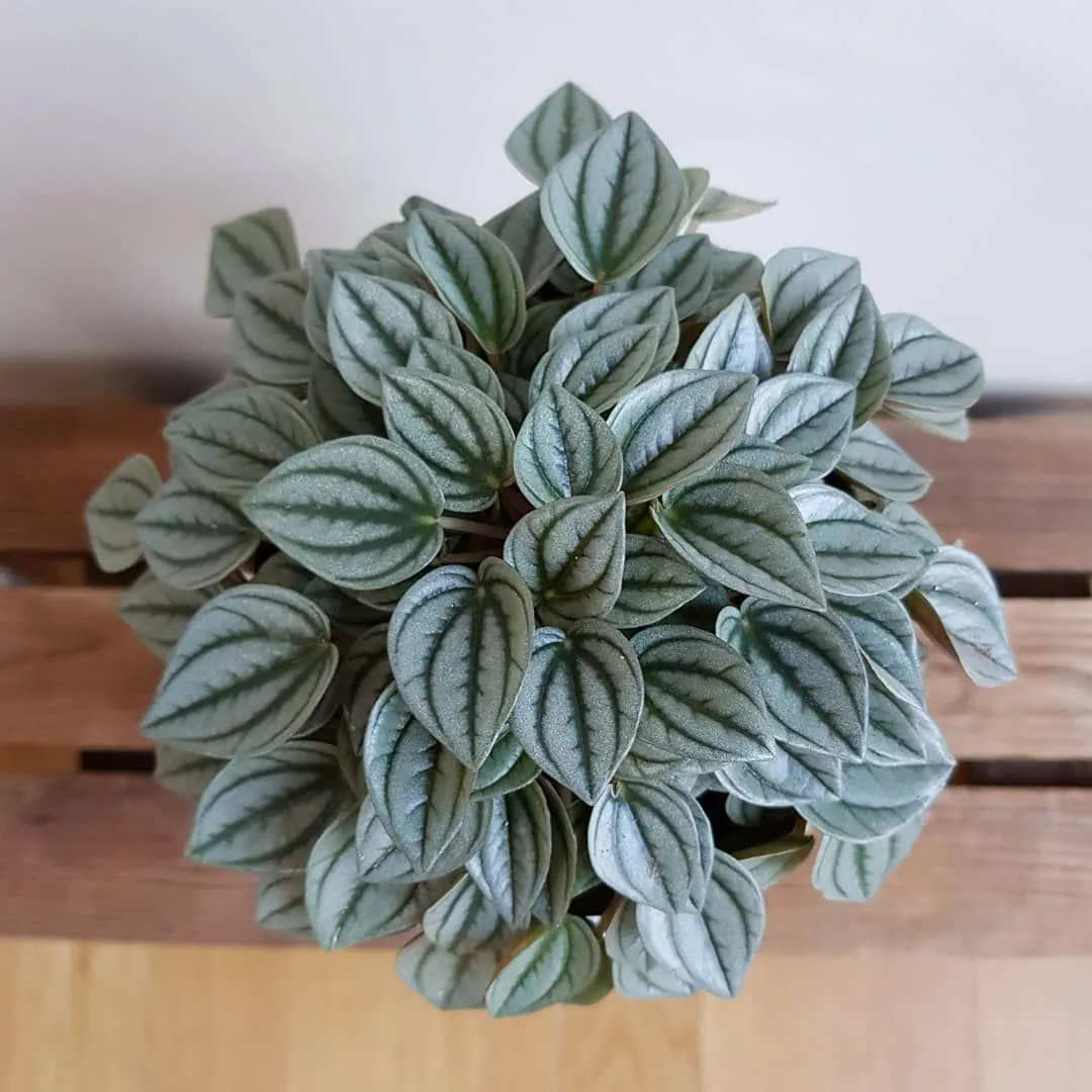 Фото 4