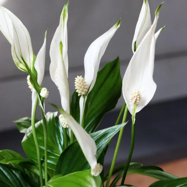 Фото 2