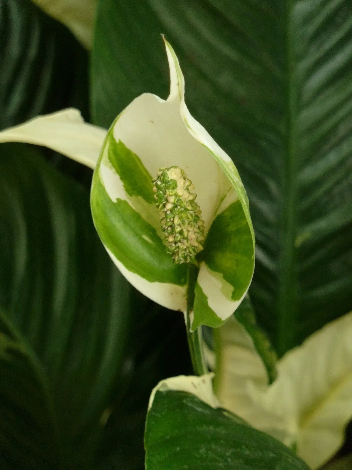 Фото 3