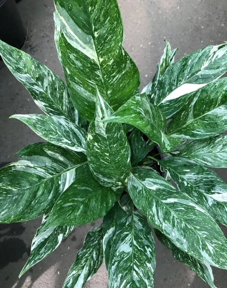 Фото 2