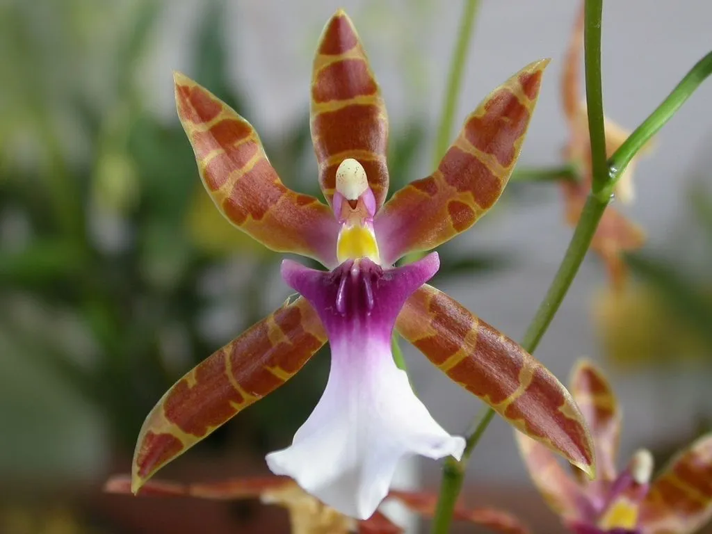 Фото 2