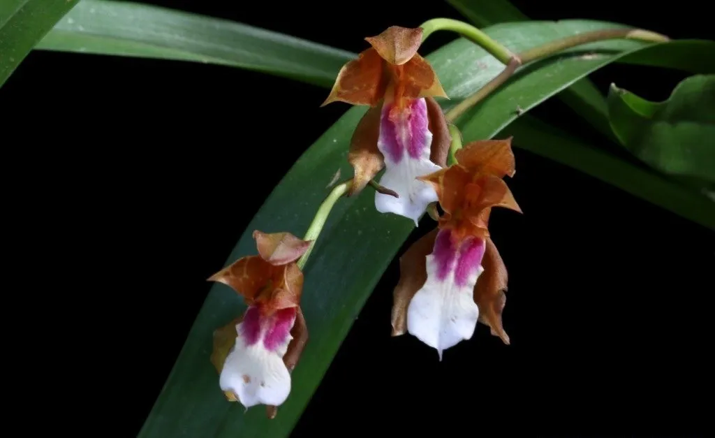 Фото 9