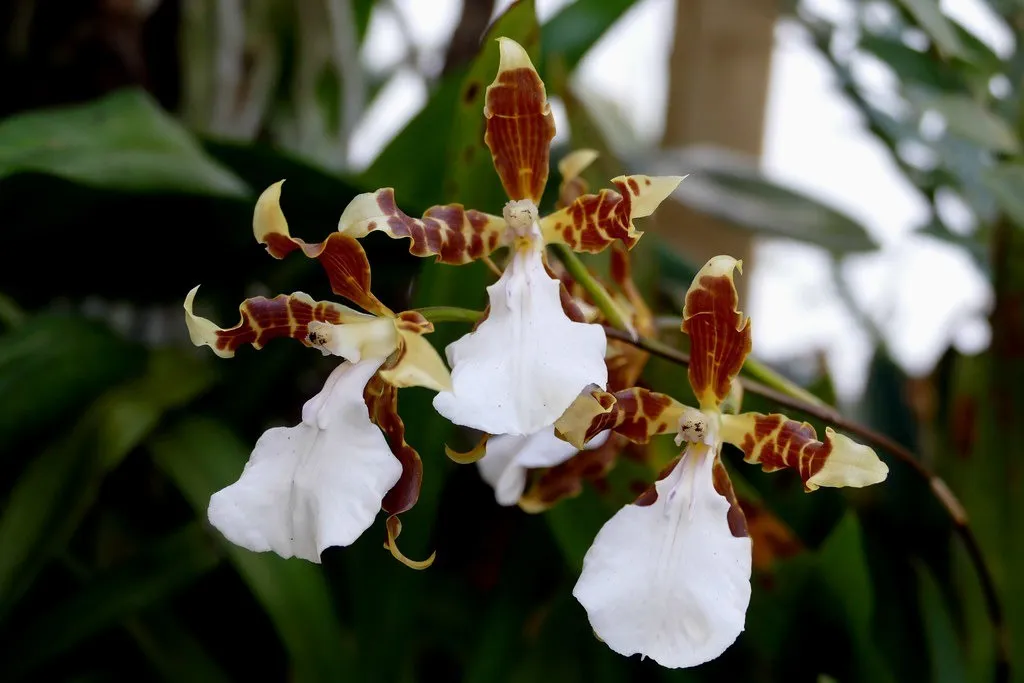 Фото 3