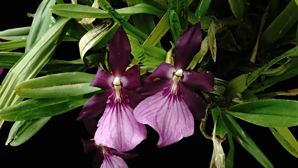 Фото 6