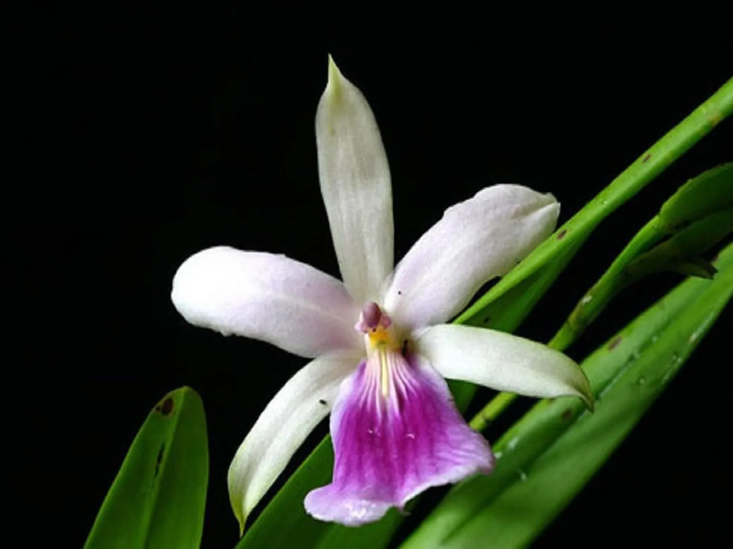Фото 8